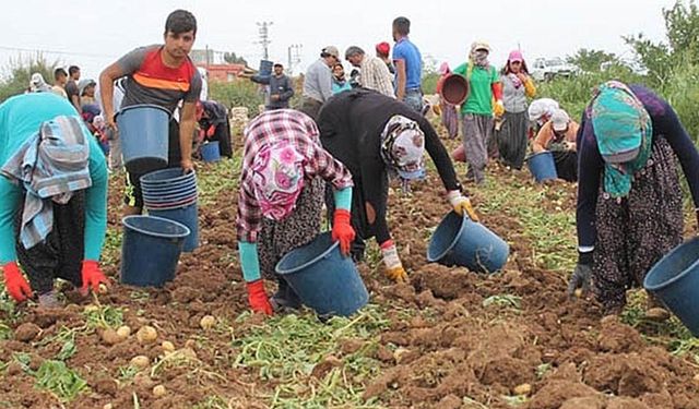 Patates üreticilerinin eylem hazırlığına baskı iddiası! Grup lideri geri çekildi