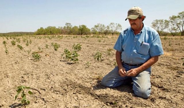Ziraat odası aidat borçları Meclis gündeminde