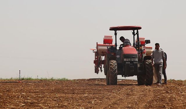 Buğday, arpa ve mısır fiyatı bu hafta kaç lira oldu? Ticaret Borsaları ve TÜRİB (6 Kasım) güncel hububat fiyatları!