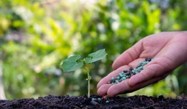 Tarım İl Müdürlüğü gübre alımı için ihaleye çıktı!
