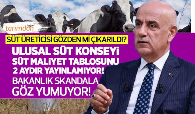 Süt üreticisi gözden mi çıkarıldı? USK sütün maliyet tablosunu yayınlamıyor! Bakanlık skandala göz yumuyor!
