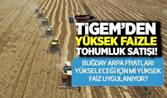 TİGEM’den yüzde 40 faizle vadeli tohumluk satışı! Buğday arpa fiyatları artacağı için mi yüksek faiz uygulanıyor?