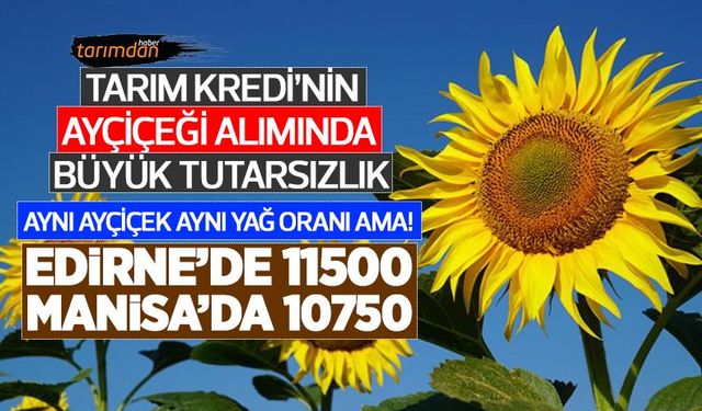 Tarım Kredi’nin ayçiçeği alımında fiyat karmaşası! Balıkesir’de 10750 lira, Edirne’de 11500 lira! 