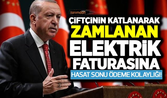 Çiftçinin katlanarak zamlanan elektrik faturasına hasat sonu ödeme kolaylığı!