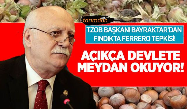 TZOB'dan fındıkta Ferrero tepkisi: Açıkça devlete meydan okuyor!