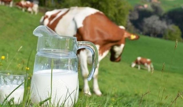 2022'nin son çiğ süt destekleri ödeniyor!