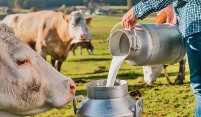 TÜSEDAD çiğ süt üretim maliyetini çıkardı! Süt fiyatı 15 TL olmalı!