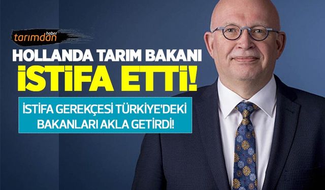 Hollanda Tarım Bakanı istifa etti! İstifa gerekçesi dikkat çekti!