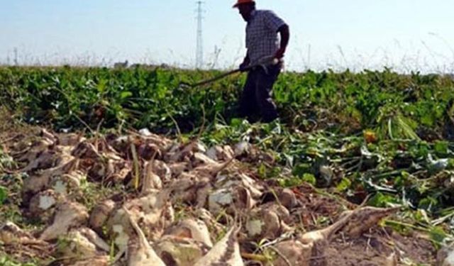 Tarım Kredi’den kredi çekecek çiftçilere uyarı: Teminat şartları ne, kimden ne isteniyor?