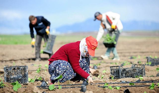 ÇKS'de ürün güncelleme başladı! Son gün 29 Şubat!