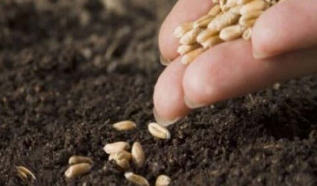 Tarım İl Müdürlüğünden sertifikalı tohum kullanım desteği ile ilgili açıklama...
