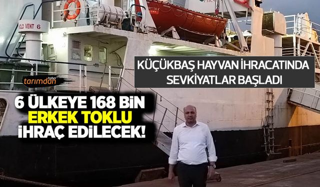 Türkiye'den 6 ülkeye 168 bin canlı küçükbaş hayvan ihracatı yapılacak! İzinler verildi sevkiyatlar başladı!