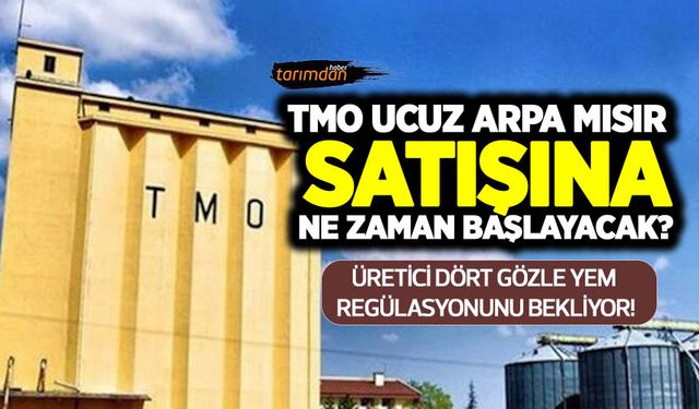 TMO ucuz arpa ve mısır satışına ne zaman başlayacak? Üretici dört gözle yem regülasyonunu bekliyor!