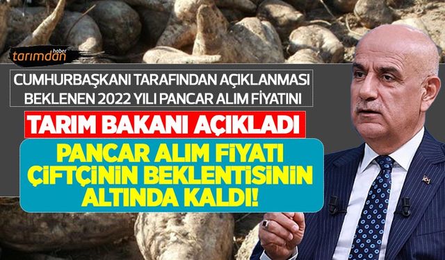 2022 yılı pancar alım fiyatı açıklandı! Pancar alım fiyatı kaç lira oldu? Çiftçi alım fiyatını kaç lira bekliyordu?