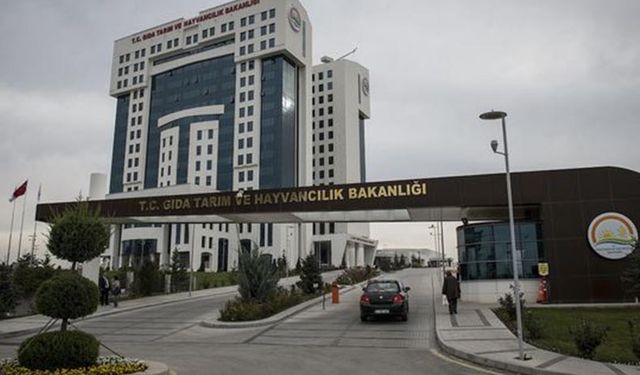 Tarım Bakanlığı iş garantili yurt dışında yüksek lisans yapacak mezunlar arıyor!