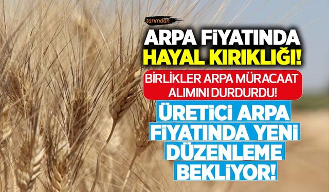 Arpa fiyatında hayal kırıklığı! Birlikler arpa müracaatını durdurdu! Üretici arpa fiyatında yeni düzenleme bekliyor!