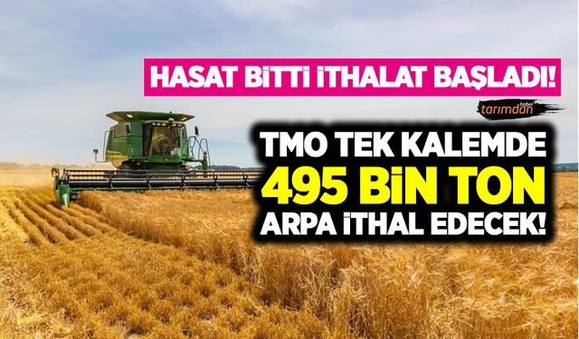 Hasat bitti buğday arpada ithalat dönemi başladı! TMO 11 Ekim'de 495 bin ton arpa ithal edecek!