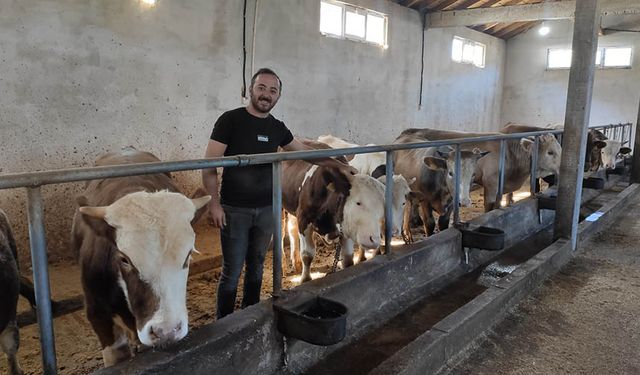 Çiftçiye besi sığırcılığı kursu! Kurs katılım belgesi tarımsal kredi başvurularında kullanılabilecek!