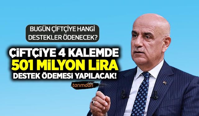 Çiftçiye 4 kalemde 501 milyon lira destek ödemesi! Hangi destekler ödenecek?
