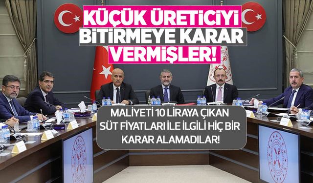 Gıda Komitesi'nden süt fiyatları ile ilgili flaş karar! Küçük aile işletmeleri tamamen üretimden çekilecek! 