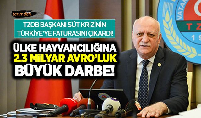 TZOB Başkanı Bayraktar: Süt krizinde 1 milyon anaç hayvan kesime gitti yerine koyma maliyeti 2.3 milyar avro olacak!