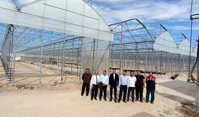 Eskişehir'de jeotermal sera üretime başladı!