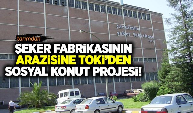 Şeker fabrikasının arazisine sosyal konut projesi!