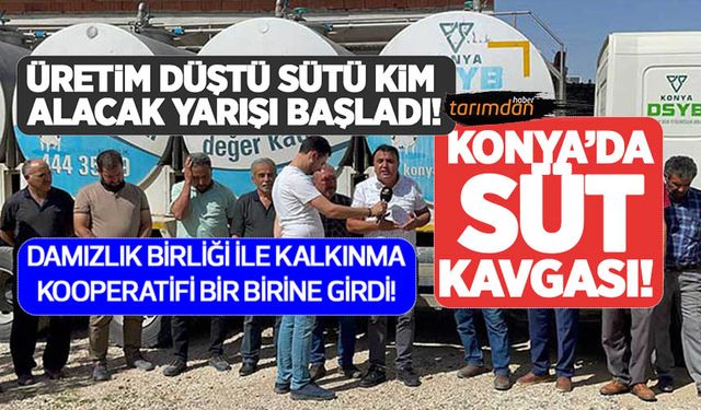 Konya’da süt kavgası! 