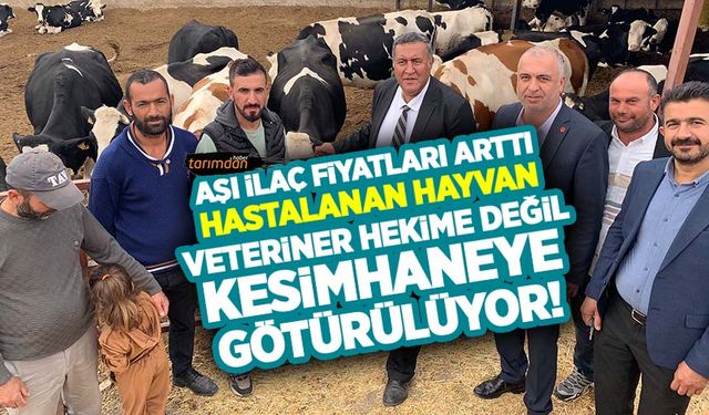 Aşı, ilaç fiyatları arttı yetiştirici hastalanan hayvanını veteriner hekime değil kesimhaneye götürüyor!