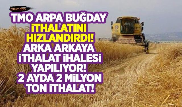 TMO arpa buğday ithalatını hızlandırdı! 2 ayda 2 milyon ton ithalat!