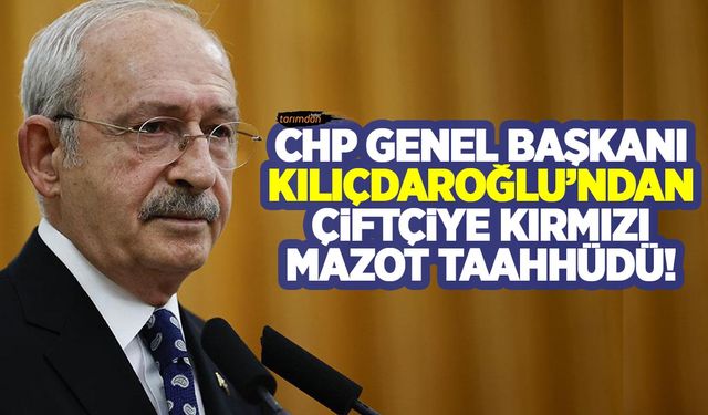 Kılıçdaroğlu: Veterinere para ödemeyeceksiniz!