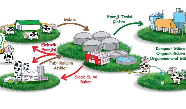Sütaş elektrik ihtiyacının yüzde 80'ini gübre ve organik atıklardan karşılıyor!
