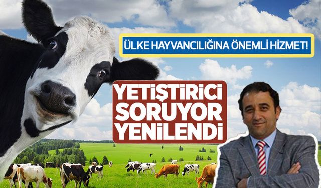 Hayvancılıkta yetiştirici ve üreticinin dijital platformu 'Yetiştirici Soruyor' yenilendi! 