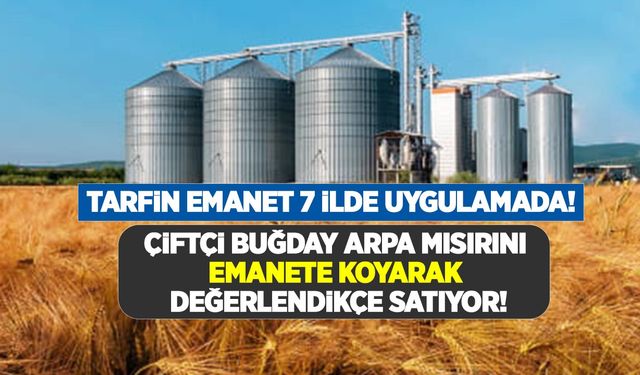 Çiftçi buğday, arpa ve mısırını emanete koyarak, değerlendikçe satabiliyor!  Tarfin Emanet 7 ilde uygulamada!