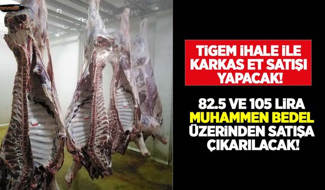 TİGEM ihale ile 21 ton karkas et satışı yapacak! Karkas sığır eti kaç liradan satılacak?