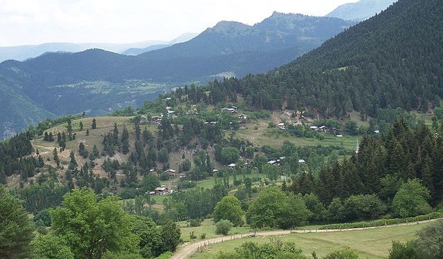 Tarım ve orman alanları düzenlemesi Tarım Komisyonu'ndan geçti