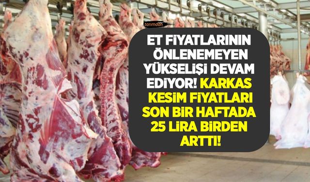 Canlı hayvan ve et ithalatına rağmen et fiyatları 200 lirayı geçti! Dana karkas 25 lira kuzu karkas 23 lira arttı!