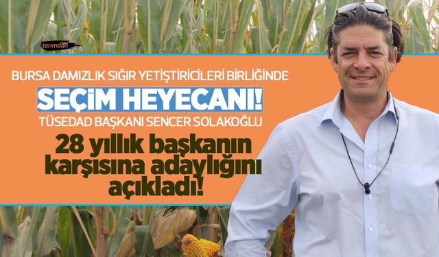 TÜSEDAD Başkanı Sencer Solakoğlu Bursa Damızlık Birliği seçimlerine adaylığını açıkladı!