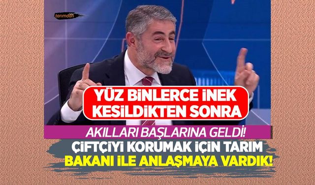 İnekler kesildikten sonra çiftçiyi korumak akıllarına geldi!