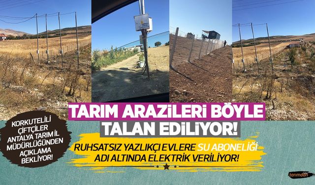 Tarım arazileri böyle talan ediliyor! Kaçak yazlıkçı evlere sulama suyu aboneliği adı altında elektrik veriliyor!