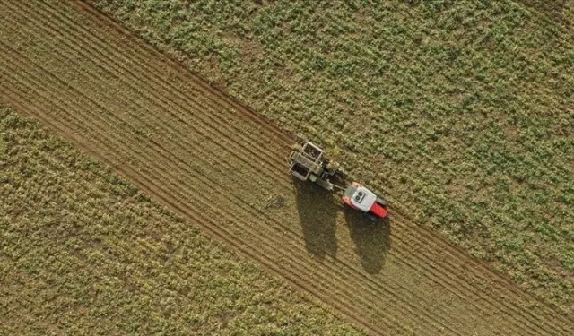 Atıl arazi tarihe karışıyor! Tarıma verimli alanlar çiftçilere kazandırılıyor!