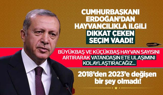 Cumhurbaşkanı Erdoğan'dan hayvancılıkla ilgili dikkat çeken seçim vaadi: Ete ulaşım kolaylaştırılacak!