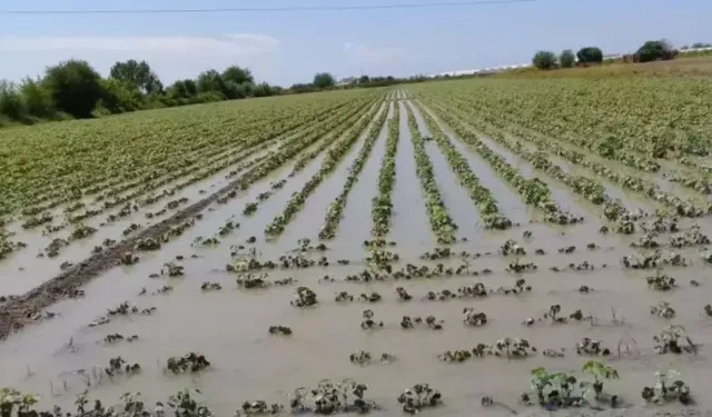 Isparta çevresinde çiftçiye meteorolojik uyarı!