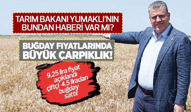 Buğday fiyatlarında büyük çarpıklık! 9.25 lira fiyat açıklandı çiftçi 4.5 liradan buğday sattı!
