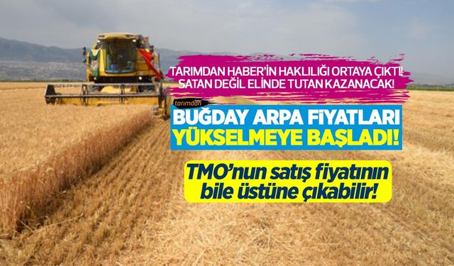 Buğday ve arpa fiyatları yükselişe geçti! Hasat sonrası TMO satış fiyatının bile üstüne çıkabilir!