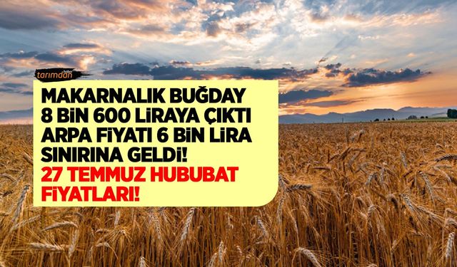 Buğday arpa fiyatı bugün kaç lira oldu? Güncel (27 Temmuz) hububat fiyatları!