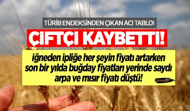 TÜRİB endeksi buğday, arpa ve mısırda acı tabloyu ortaya koydu! Çiftçi kayıpta! 