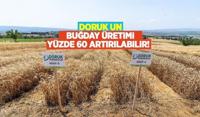 Doruk Un: Buğday üretimi yüzde 60 artırılabilir! 