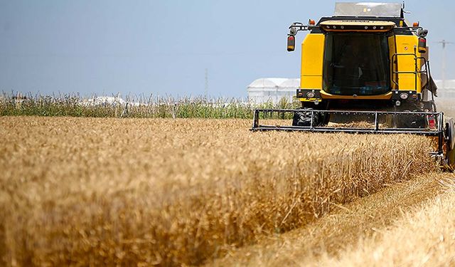 TMO Mart ayı hububat satış fiyatı açıklandı! Buğday, arpa ve mısır kaç liradan satılacak?