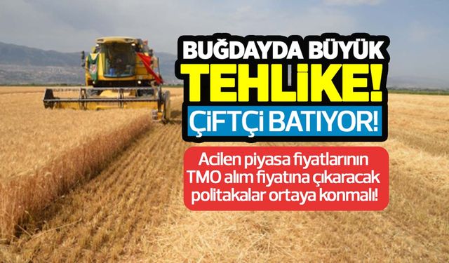 Stratejik ürün buğdayda büyük tehlike! Acilen piyasa fiyatlarını TMO alım fiyatına çıkaracak politikalar ortaya konmalı